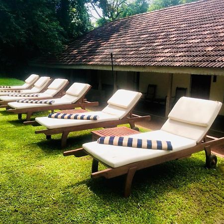 Ekho Sigiriya Hotel Eksteriør billede