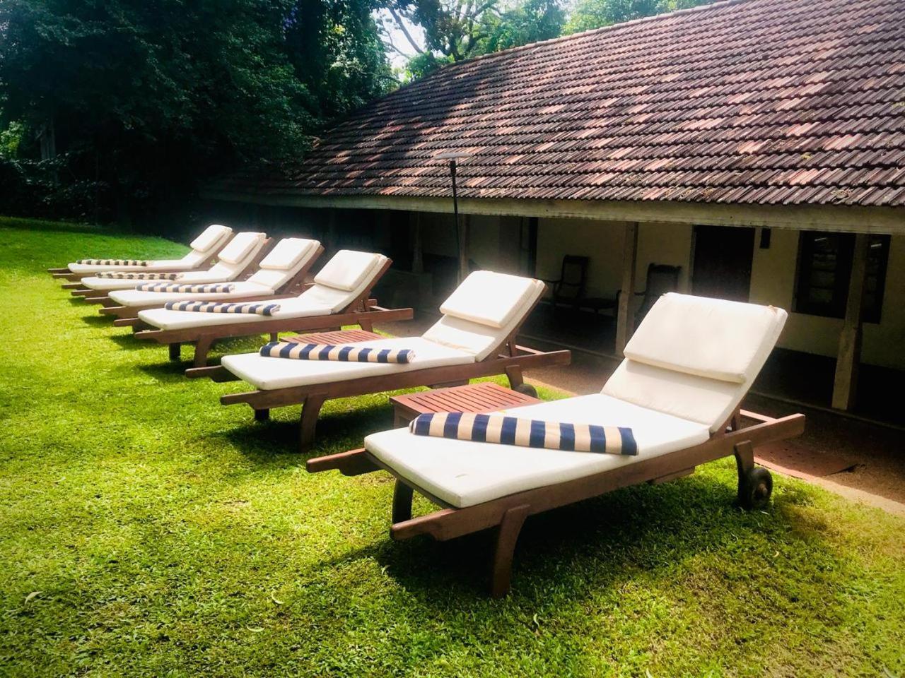 Ekho Sigiriya Hotel Eksteriør billede