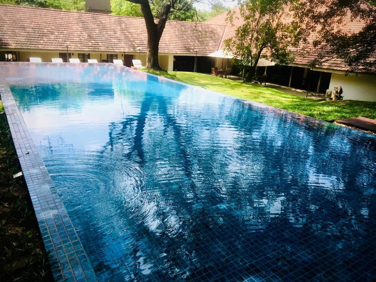 Ekho Sigiriya Hotel Eksteriør billede