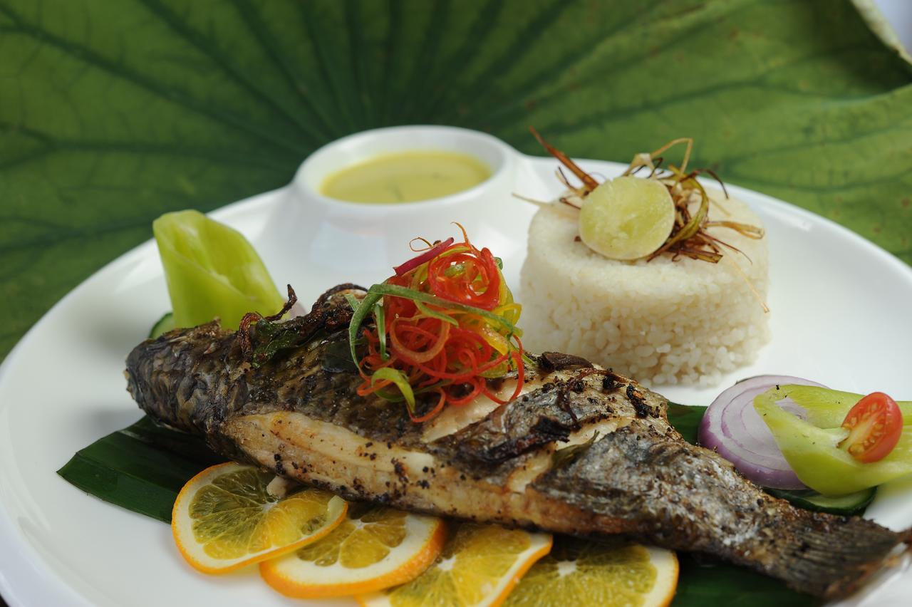 Ekho Sigiriya Hotel Eksteriør billede